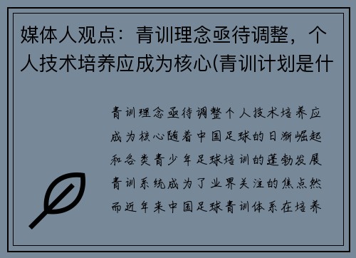 媒体人观点：青训理念亟待调整，个人技术培养应成为核心(青训计划是什么意思)