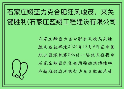石家庄翔蓝力克合肥狂风峻茂，来关键胜利(石家庄蓝翔工程建设有限公司)