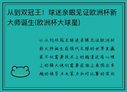 从到双冠王！球迷亲眼见证欧洲杯新大师诞生(欧洲杯大球星)